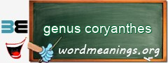 WordMeaning blackboard for genus coryanthes